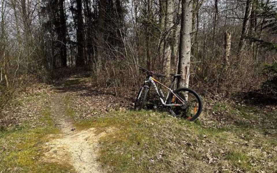 Mountainbike rute i Bramming