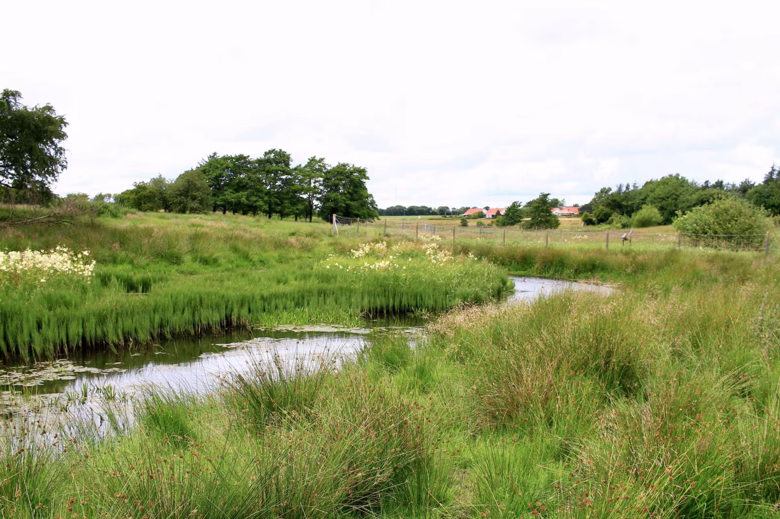 Hornes Vikingelund et paradis
