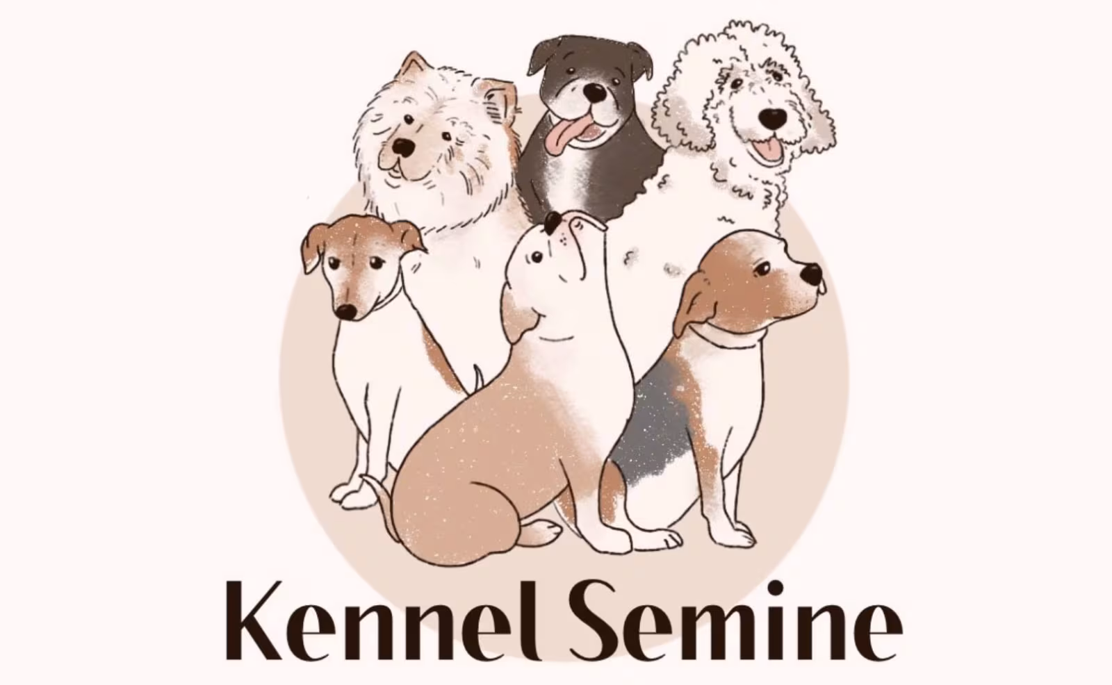 Hundepension åbner for alle hunde