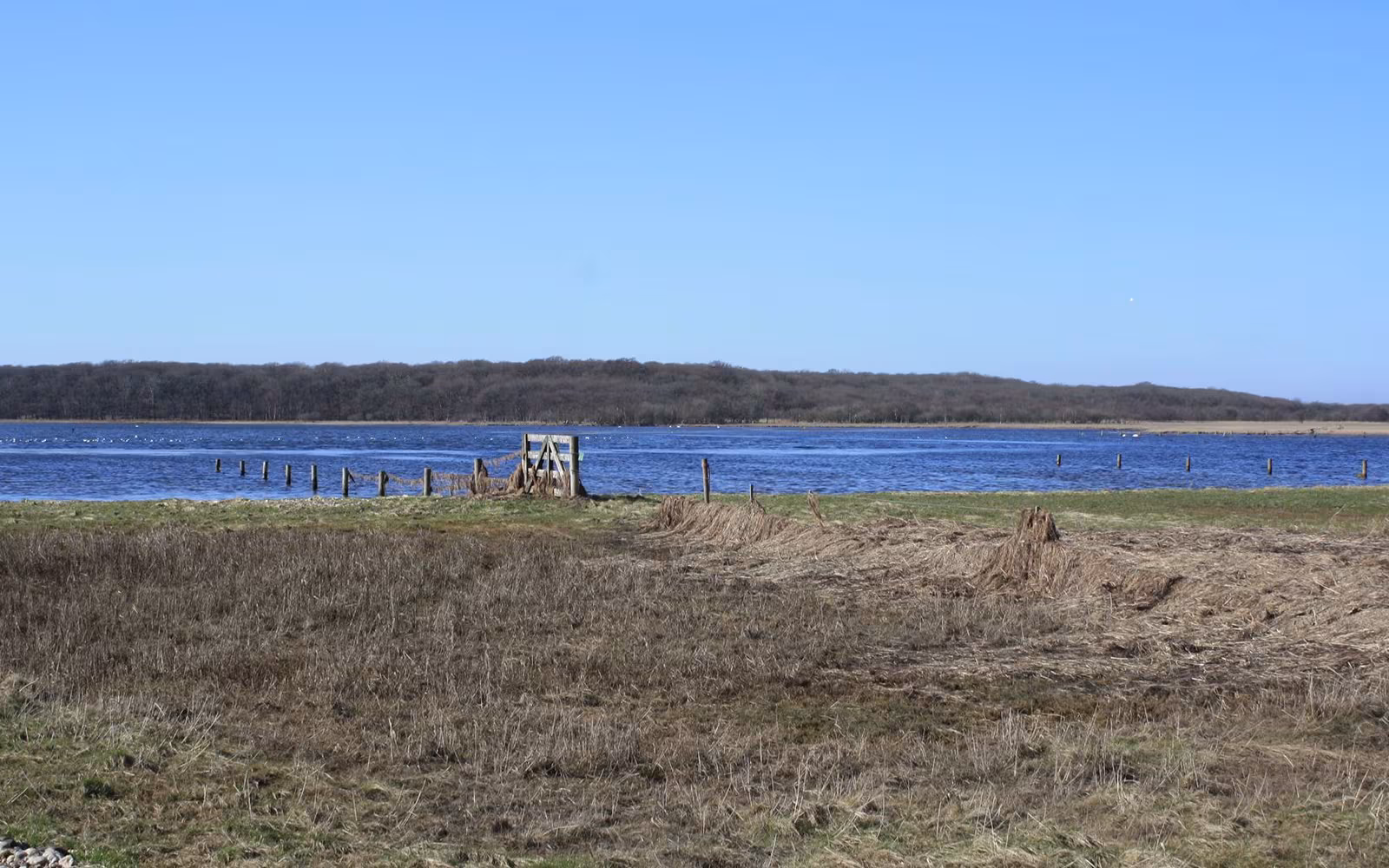 Ålbæk Strand - Kås