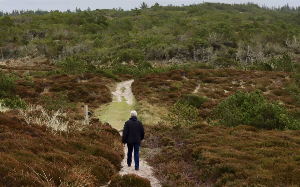 Find morgenroen på Gråmulebjerg