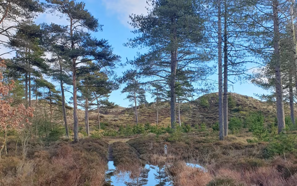 Efterårsvandring i Ho & En varm kop hos Sæberiget