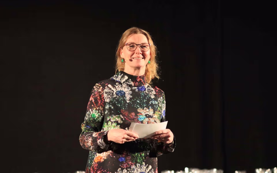 Årets mestre fejret i Varde kommune