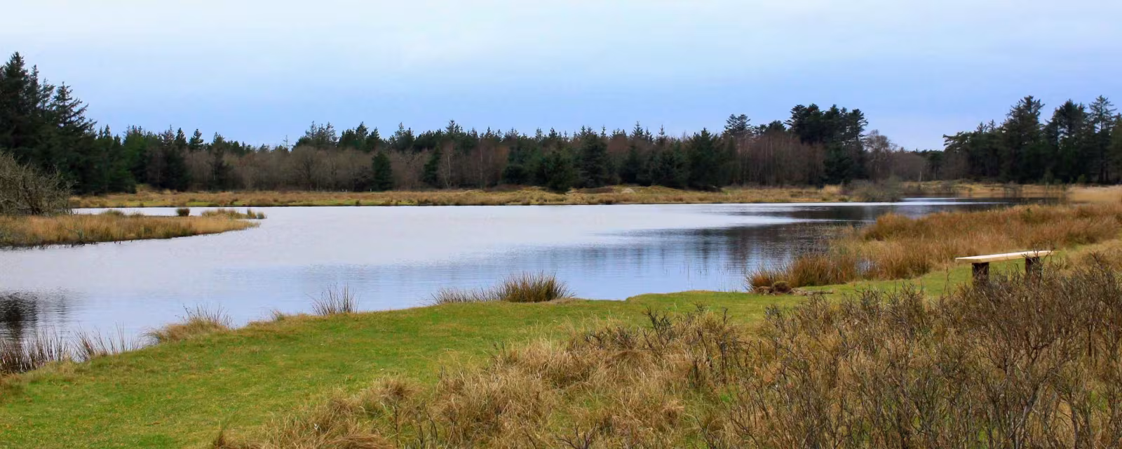 Efterårsoplevelser i Naturpark Vesterhavet