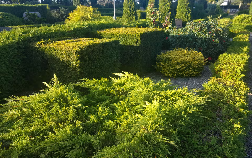 En ændret begravelseskultur med færre kister og flere urner betyder mindre pladsbehov. På Nr. Omme kirkegård er der etableret en sansehave for de levende på de ubenyttede grave. Alternativet til sansehaven ville være tomme gravsteder med græs, grus eller jord. Med sansehaven er kirkegården meget mere spændende at besøge.