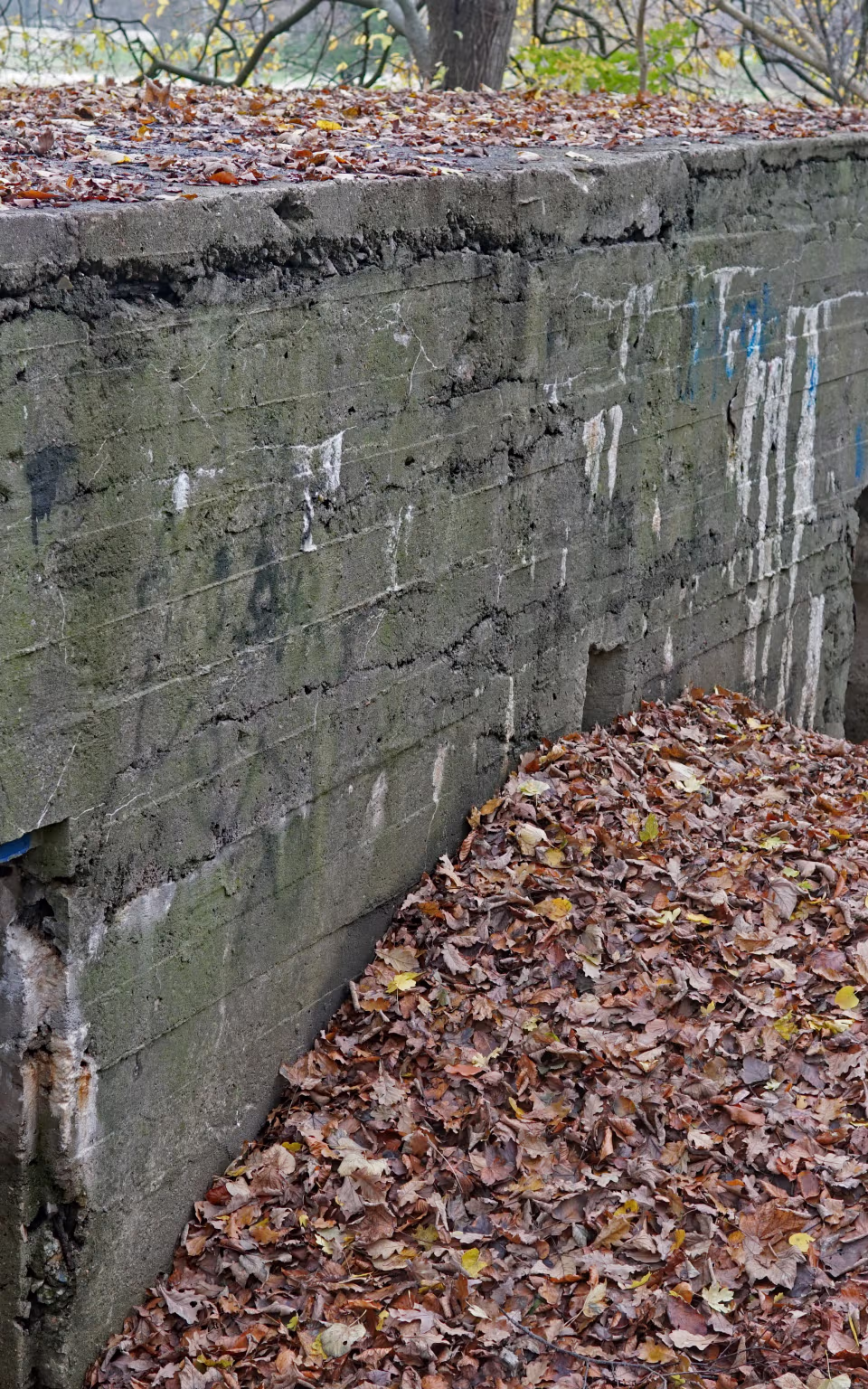 Betonbunker ved Sikringsstilling Nord dækket af visne blade og graffiti