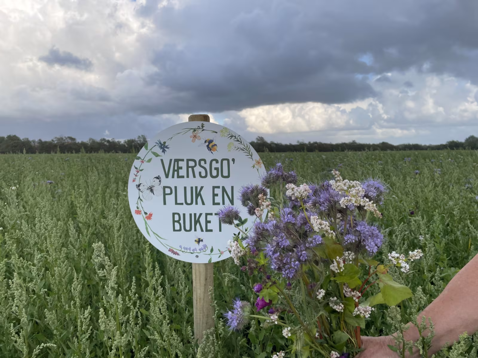Værsgo pluk en buket