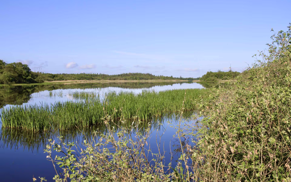 Morgenro ved Karlsgårde Sø