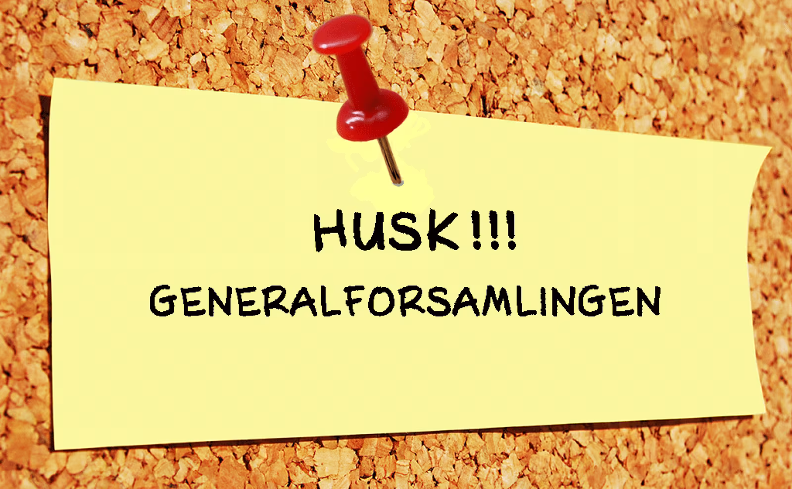 Generalforsamling i Fåborg Borgerforening