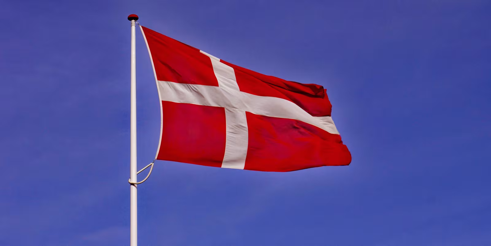 Festflaget må vente til 2021 med at gå til tops