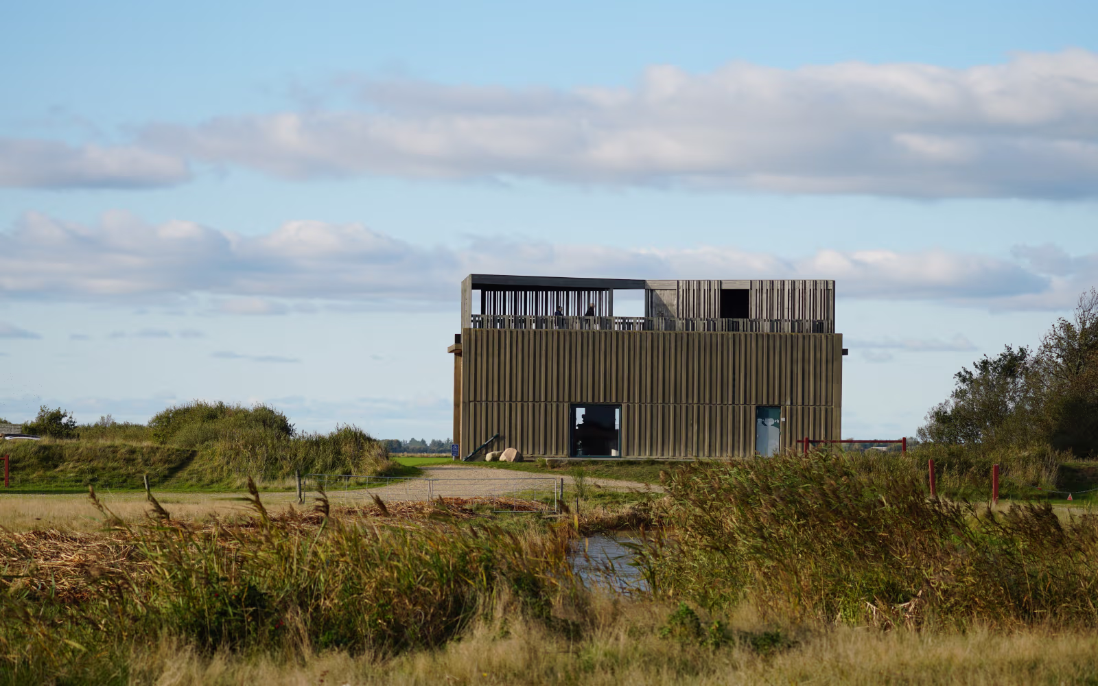 Træbygning ved Pumpestation Nord bag høje tagrør og eng under skyet himmel
