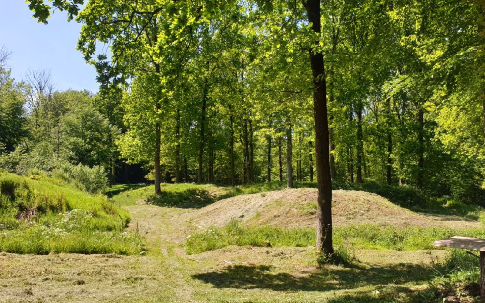 Fovslet Skov, gul rute