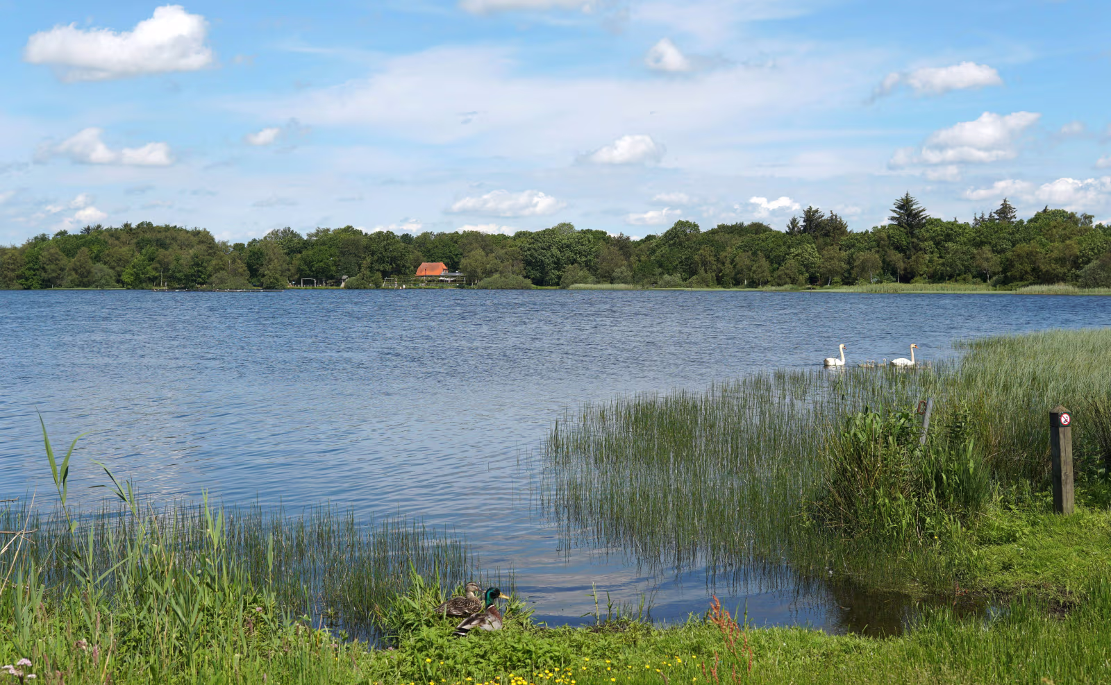 Kvie Sø Badelaug