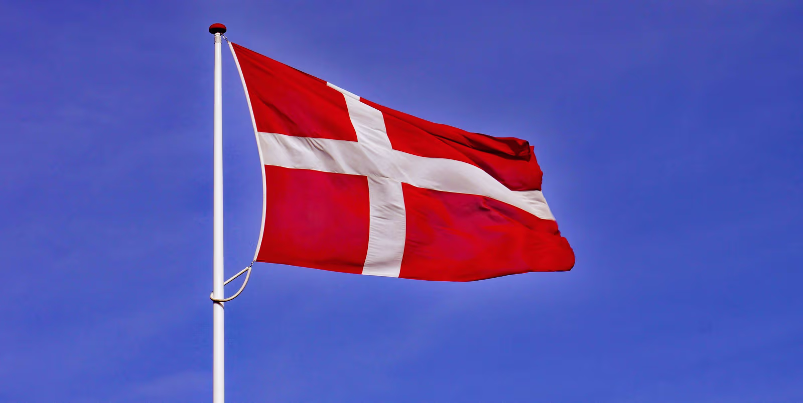 Hjælpere til flagning på Torvet