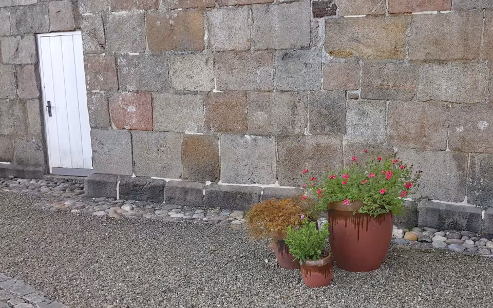 En ændret begravelseskultur med færre kister og flere urner betyder mindre pladsbehov. På Nr. Omme kirkegård er der etableret en sansehave for de levende på de ubenyttede grave. Alternativet til sansehaven ville være tomme gravsteder med græs, grus eller jord. Med sansehaven er kirkegården meget mere spændende at besøge.