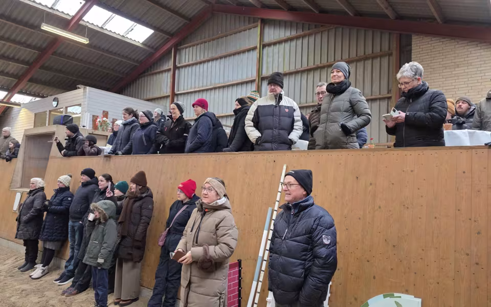 Ølgod & Omegns Rideklub fejrede 50-års jubilæum med taler, opvisning og fællesskab.
