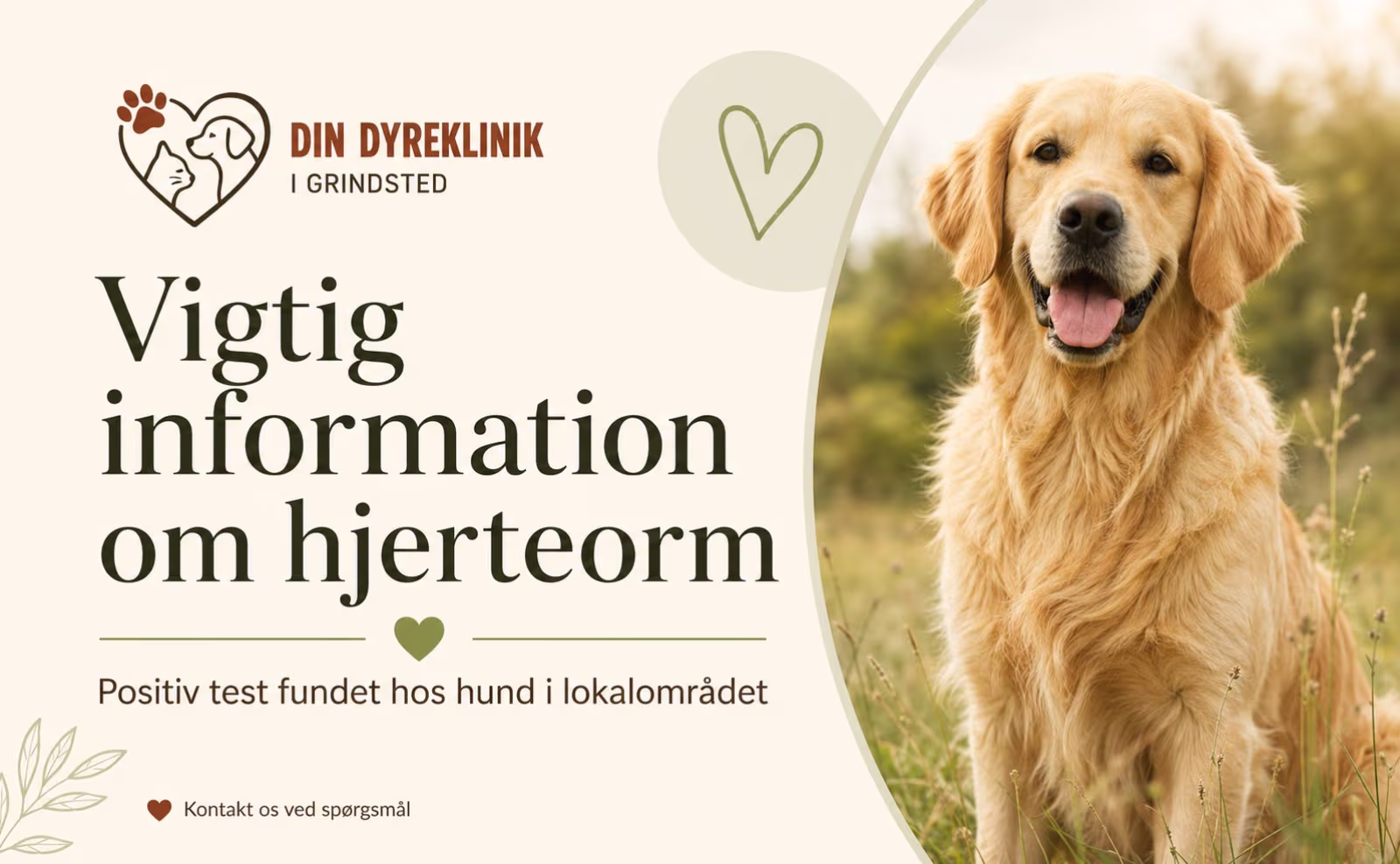 Hjerte-/lungeorm fundet hos Ansager-hund