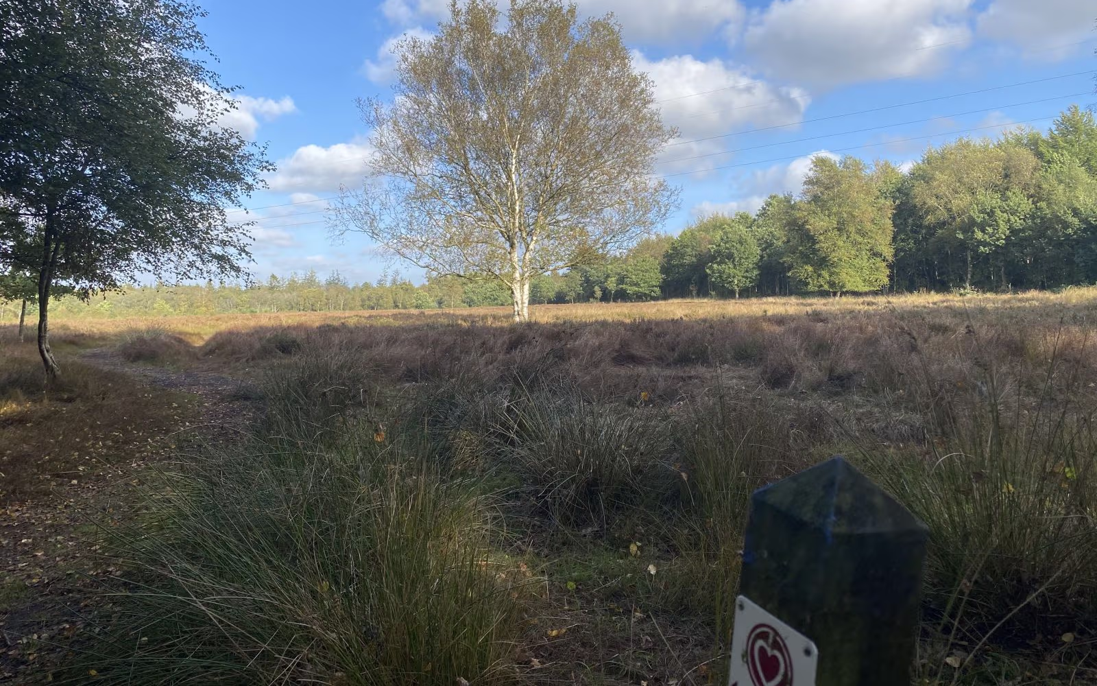 Sti omkring Karlsgårde sø