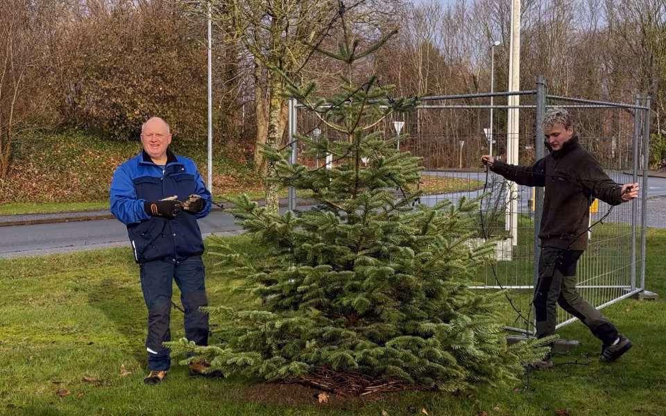 Borgerforeningen klar til julehygge