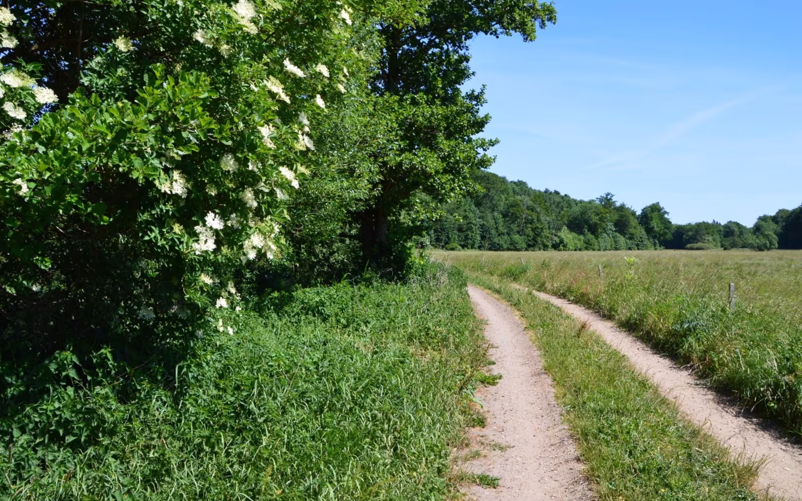 Stouby Skov ruten