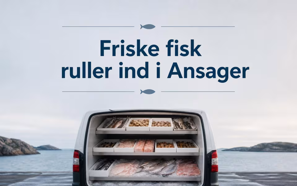 Friske fisk ruller ind i Ansager
