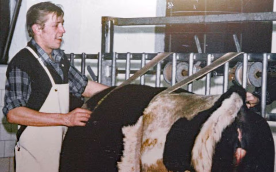 Et nyligt billede af Knud Christensen med en hest på Vetgruppen Ansager Hestehospital