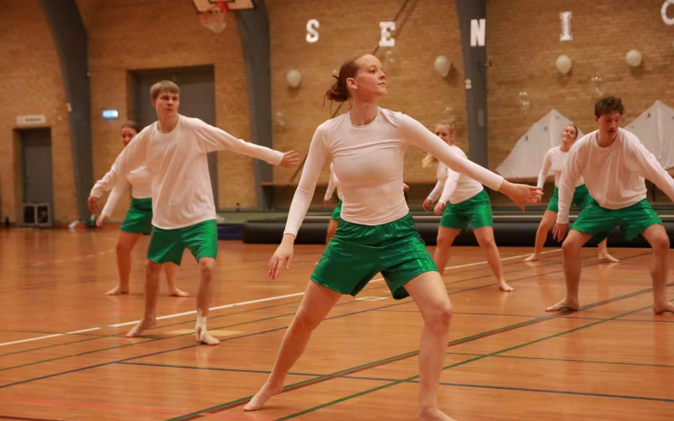 Seniorer fejrer gymnastik og fællesskab