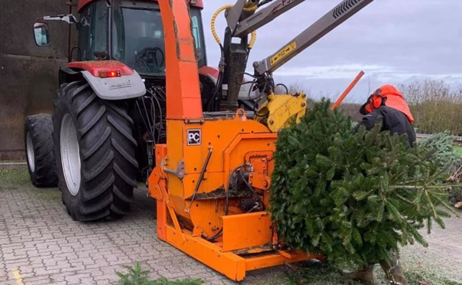 Juletræer bliver til flis på Ansager Varmeværk