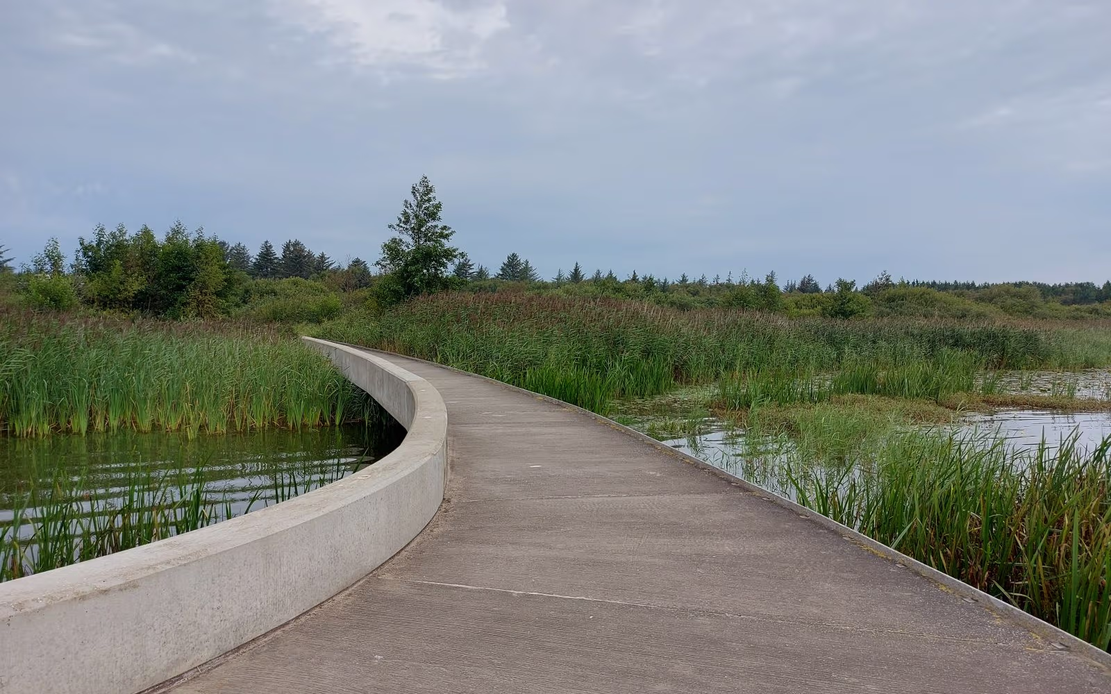Filsø Ellipsen rundt