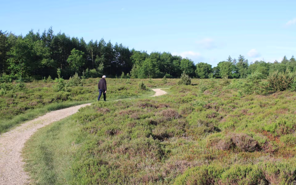 Morgenro ved Karlsgårde Sø