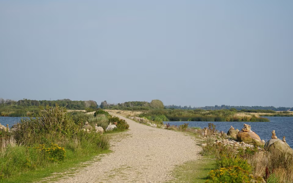 Sti på dæmningen over Filsø til Langodde.