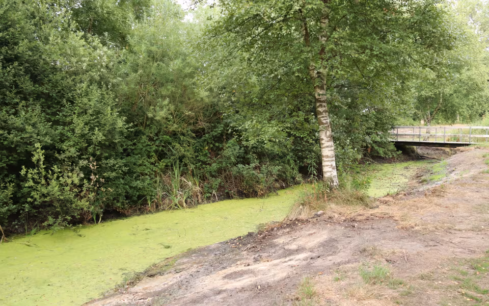 Engparken