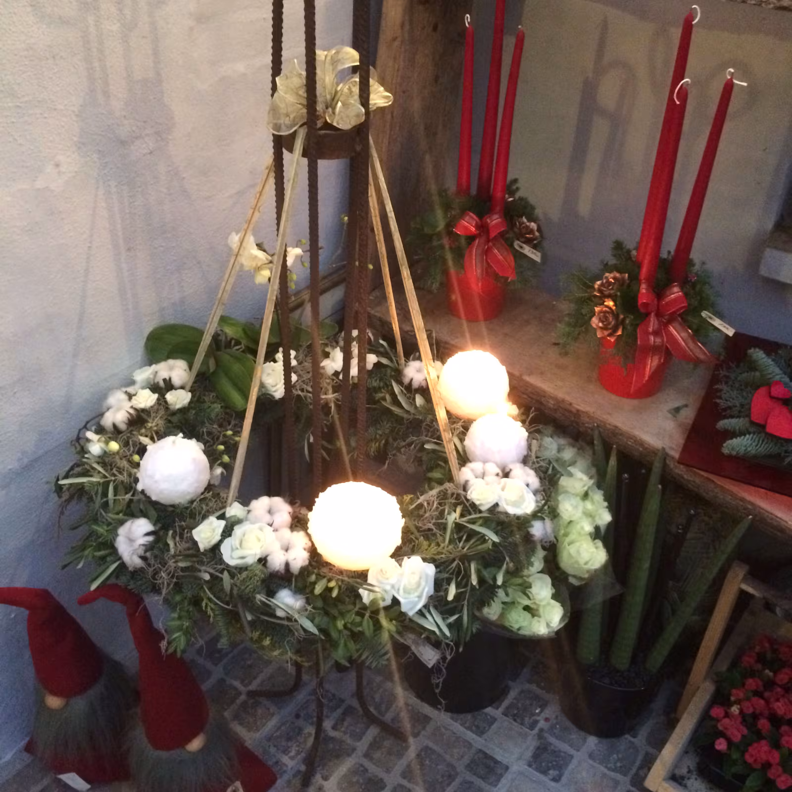 Blomsten har åben mellem jul og nytår