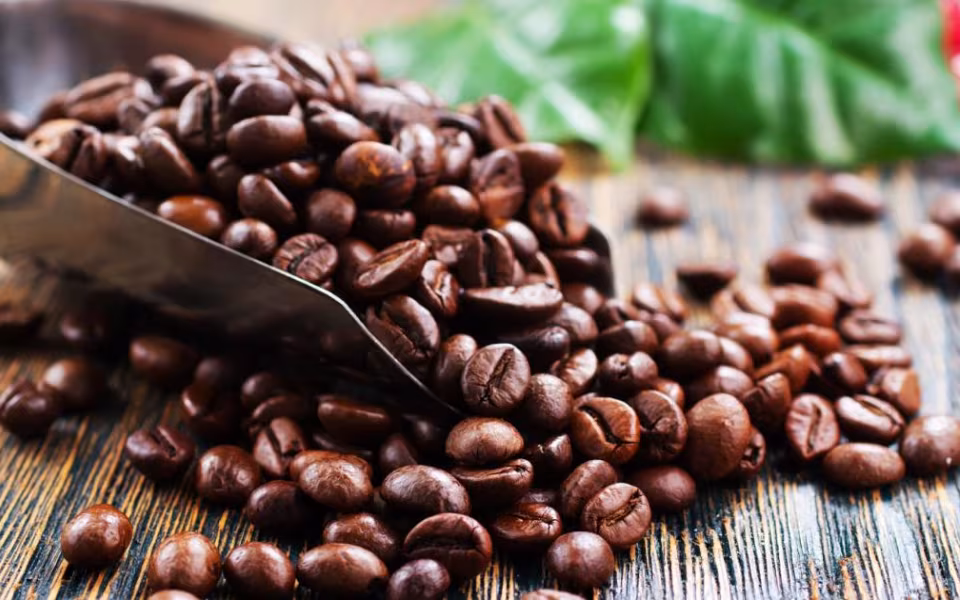 Kaffe - Livestream fra AU i Salonen