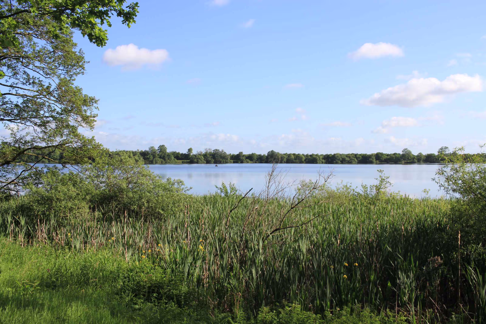 Morgenro ved Karlsgårde Sø