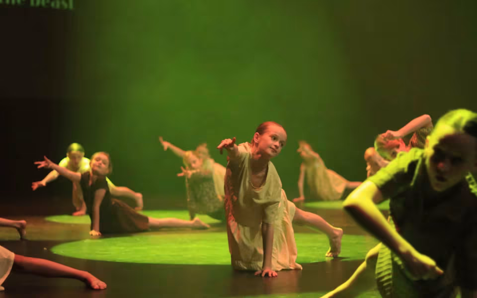 Dance Company Twenty Juleshow begejstrede 1200 publikummer