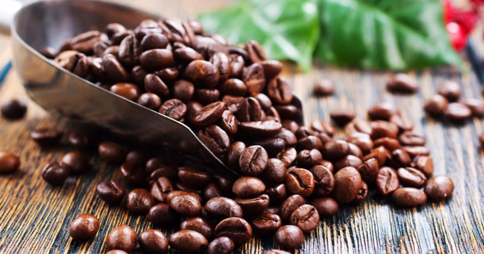 Kaffe - Livestream fra AU i Salonen