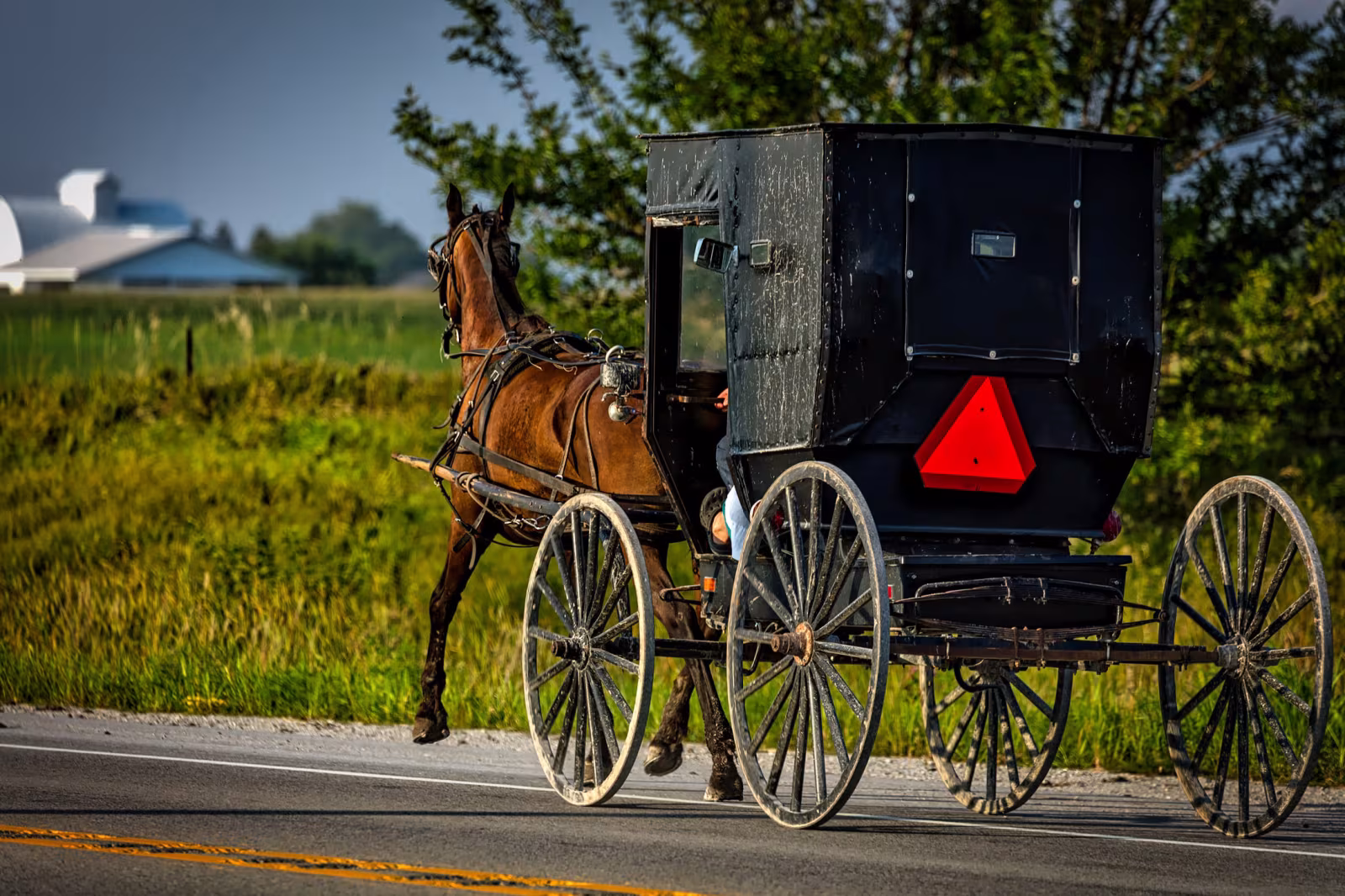 Amish-folket