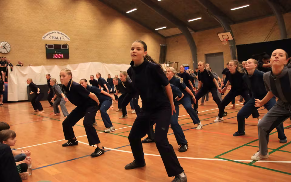 Stor succes ved DGI's opvisning