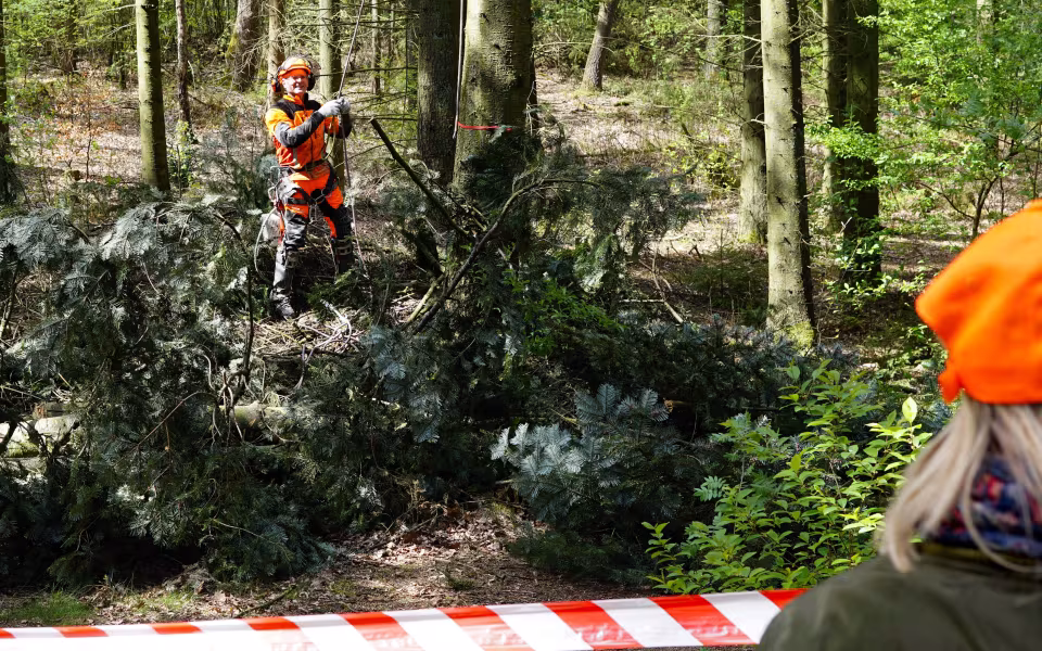 Skovens Dag 2019 i Ansager Kommuneplantage
