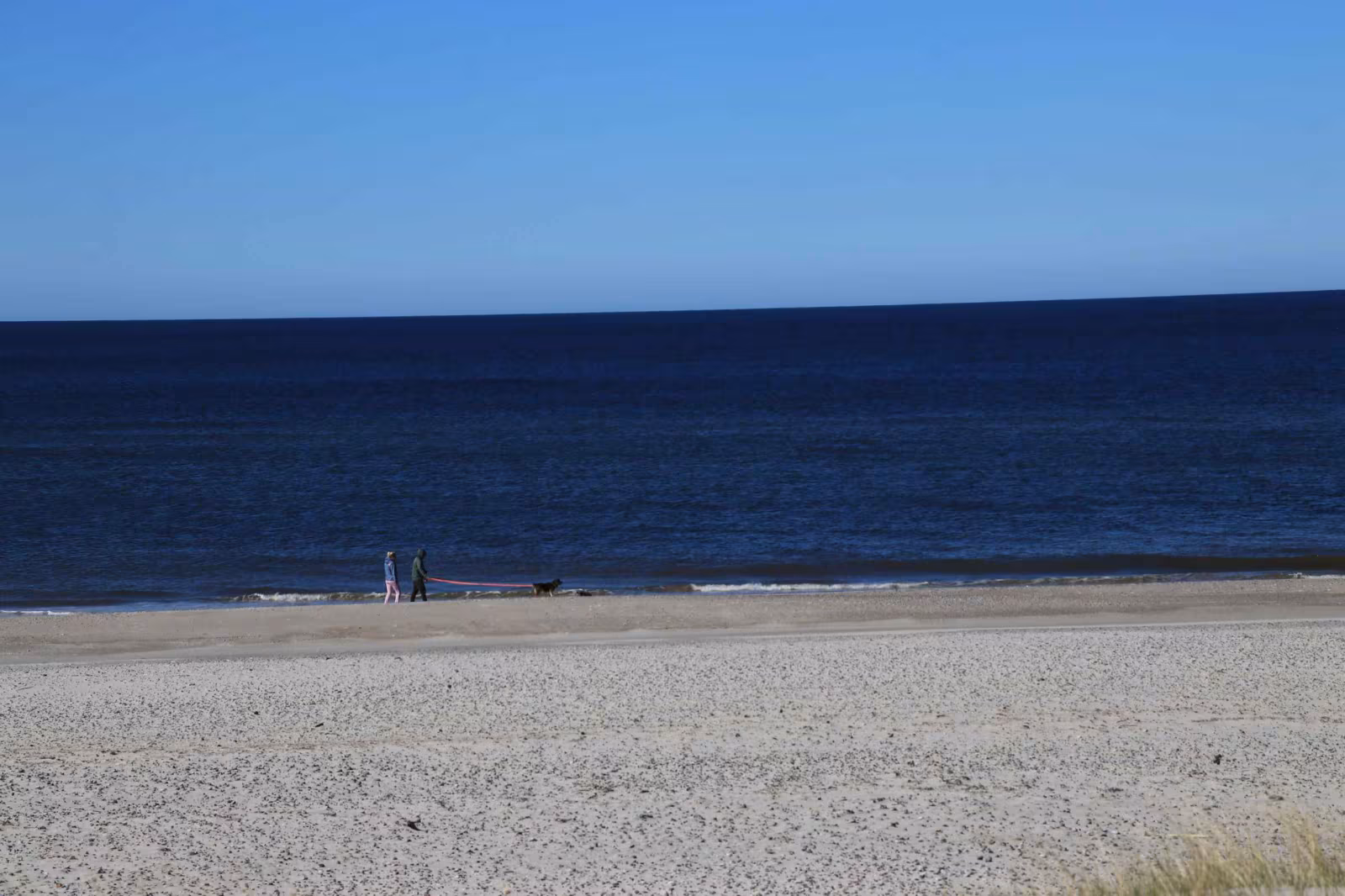 Forårsvandring - Gammelgab Strand til Hattebjerget