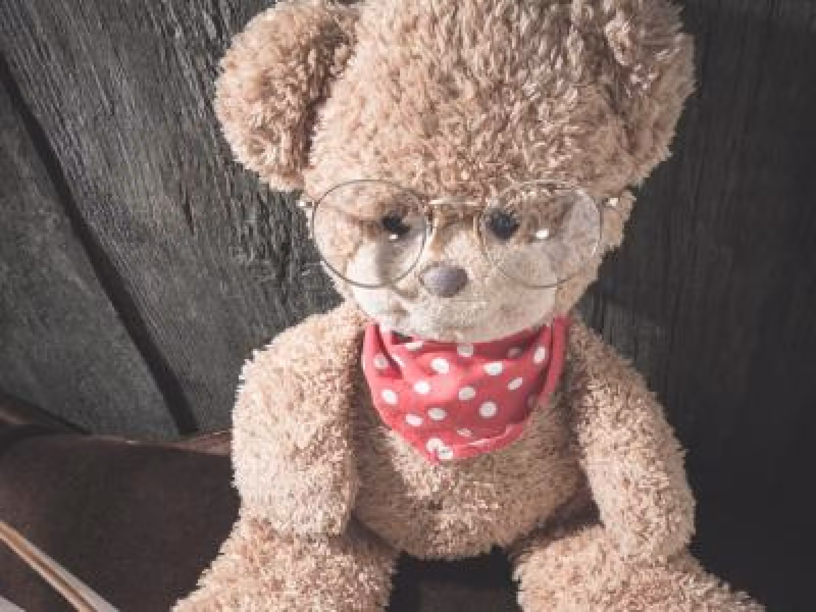 Billedet viser en bamse med briller og en bog