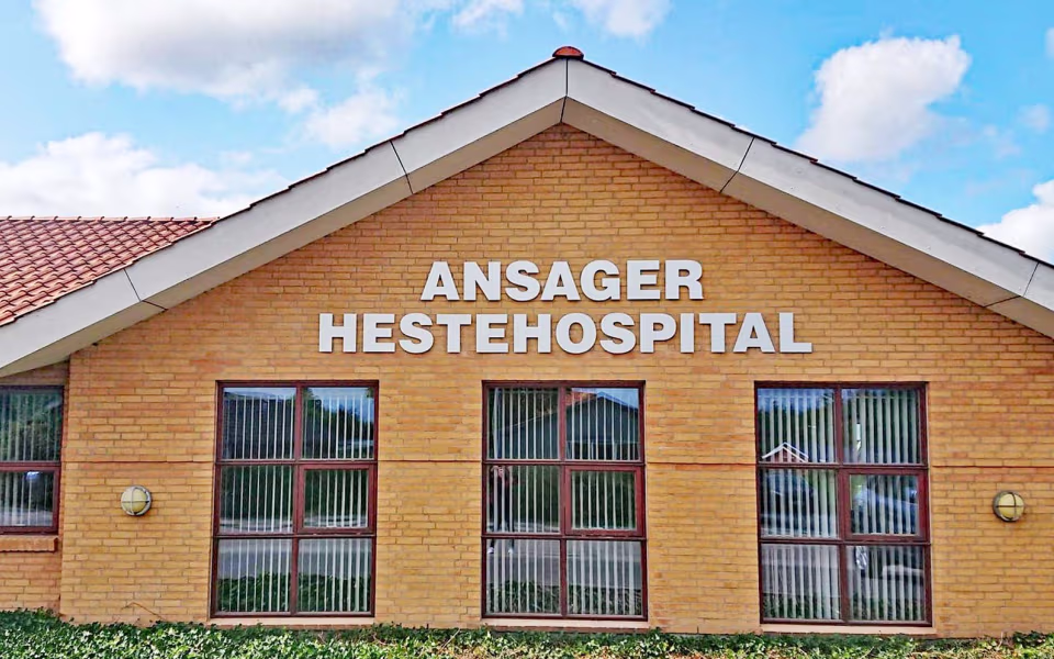 Hospitalet beskæftiger i alt 13 medarbejdere - fem dyrlæger, en veterinærsygeplejerske, fire veterinær-servicemedarbejdere og tre assistenter på kontoret