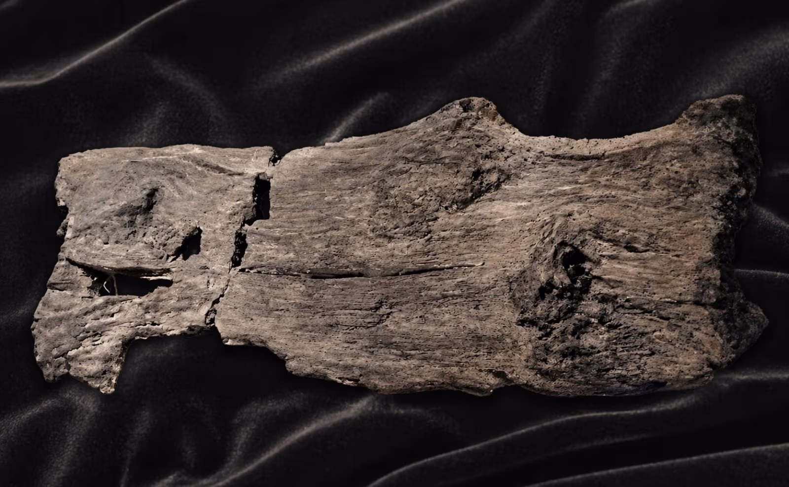 Konserveret trælåg fra vikingetidsfund i Åparken, tidligere udstillet på Ølgod Museum