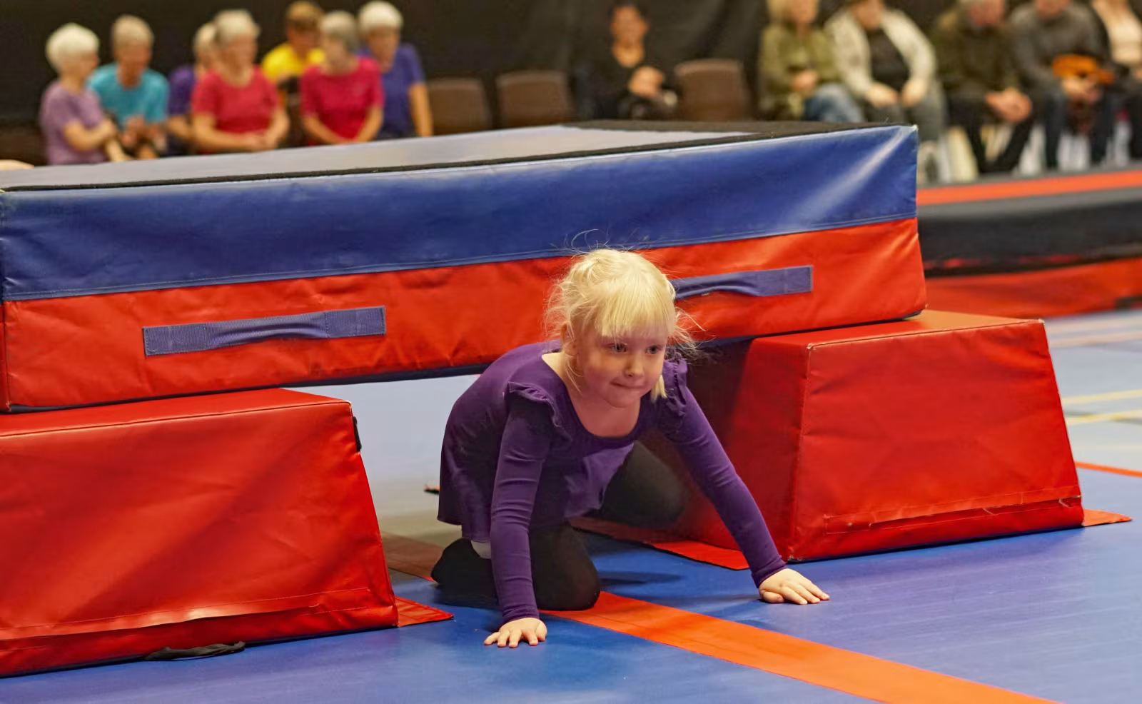 Gymnastikopvisning 2019