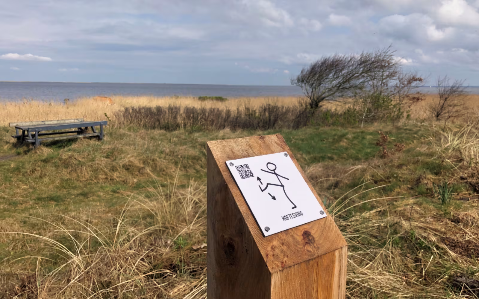 Vandrerute - Bevægelsesrute Bork Havn 2,4 km
