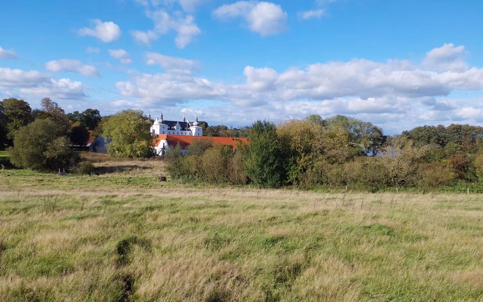 Udsigtsstien (gul rute) i Engelsholm Skov