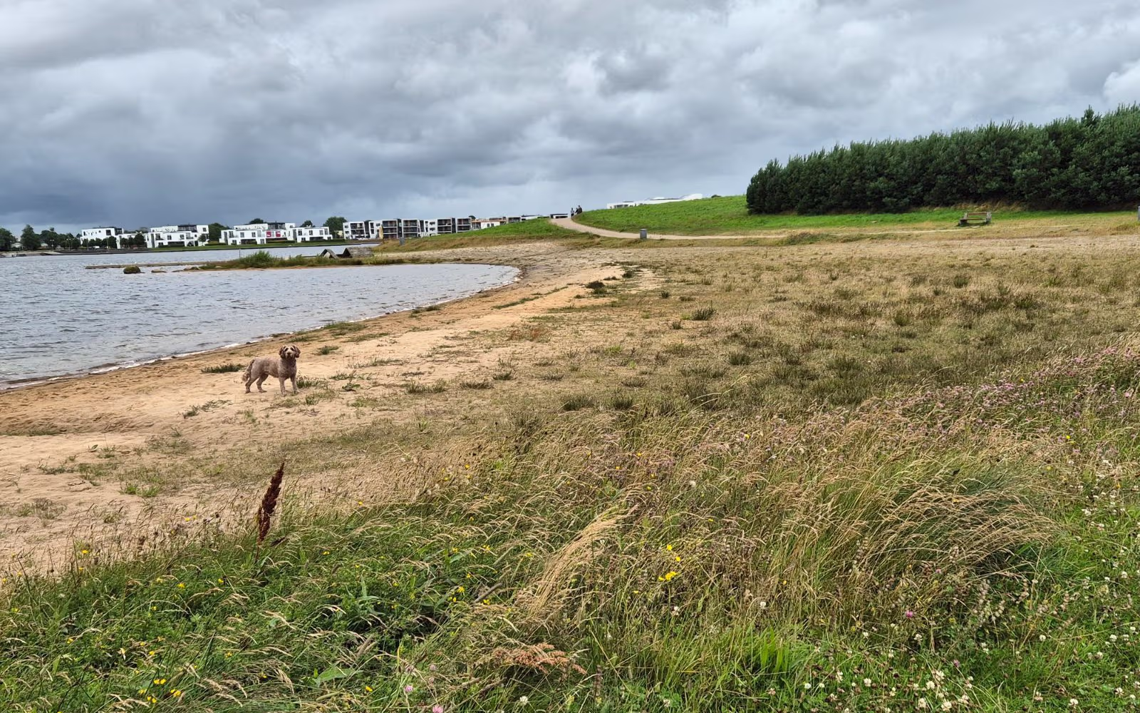 Fuglsang Sø Søruten
