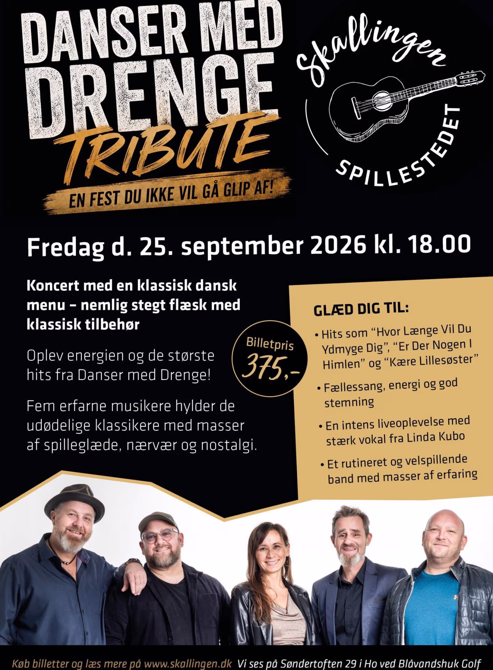 Danser med Drenge Tribute spiller koncert i Ho