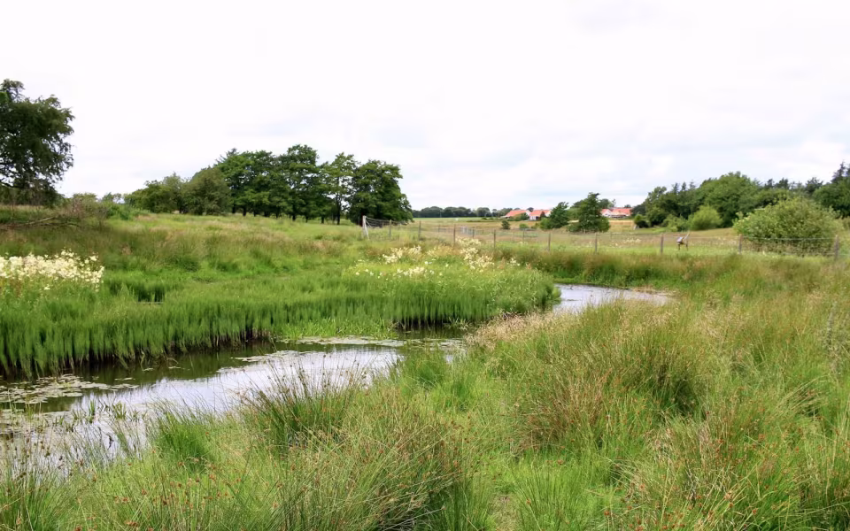 Hornes Vikingelund et paradis